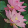 diamond painting