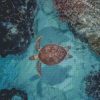 diamond painting