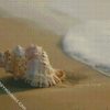 seashell wallpaper diamond paintings