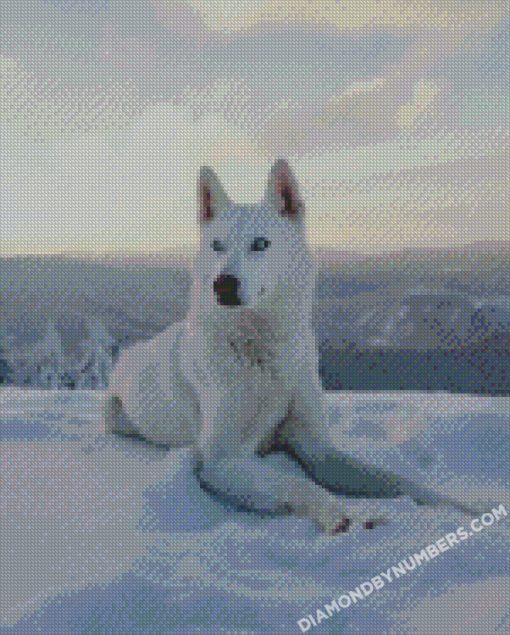 diamond painting
