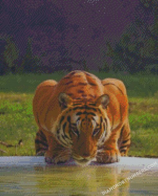 diamond painting