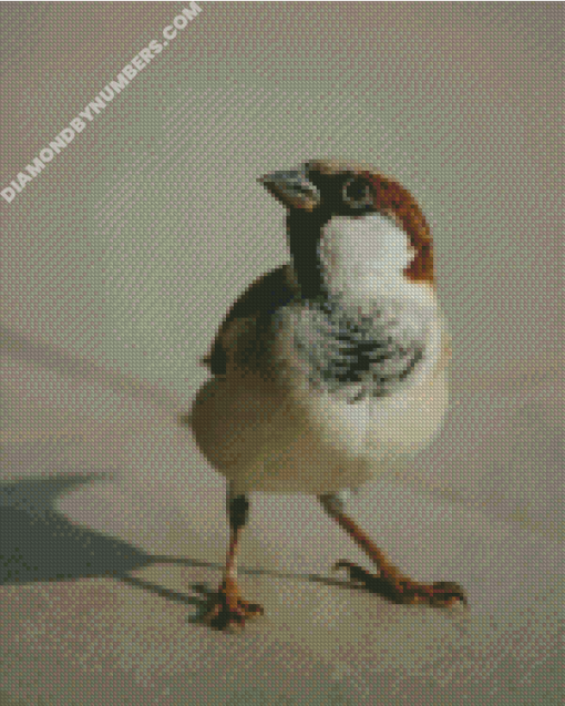 diamond painting