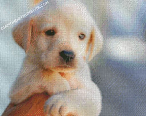diamond painting