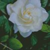 diamond painting