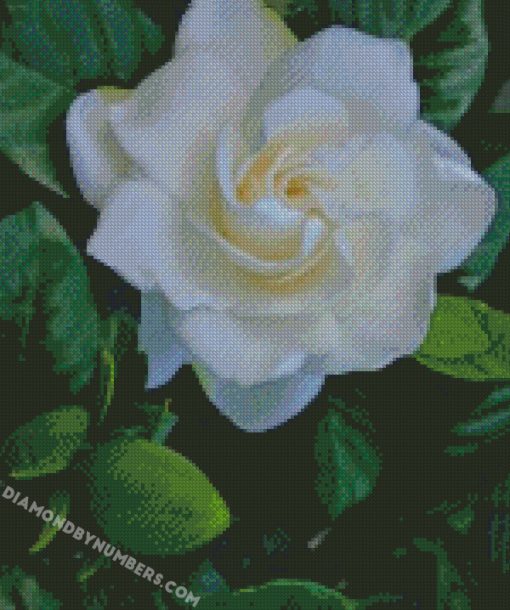 diamond painting