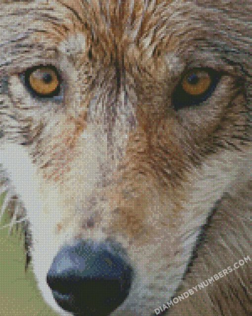 diamond painting