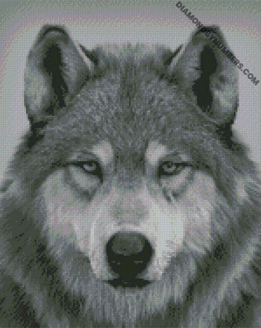 diamond painting