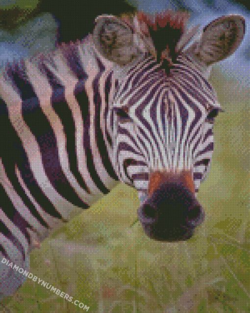diamond painting