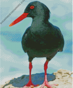 diamond painting