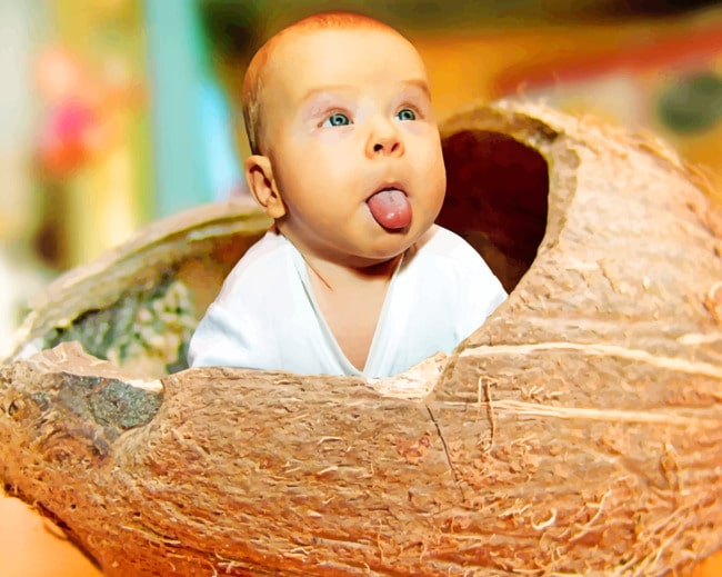 Baby In Coconut paint by numbers Baby In Coconut paint by numbers