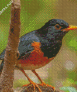 diamond paintings