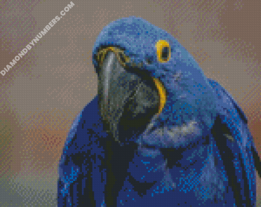 diamond paintings