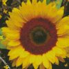 Butterfly Sunflower diamond paintings