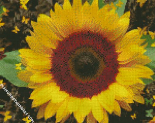 Butterfly Sunflower diamond paintings