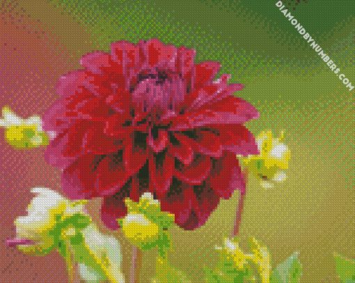 Dahlia flower Wine color diamond paintings