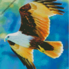 Diamond Paintings