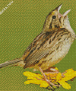 diamond paintings