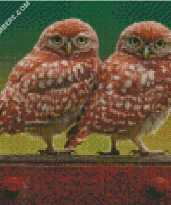 diamond paintings