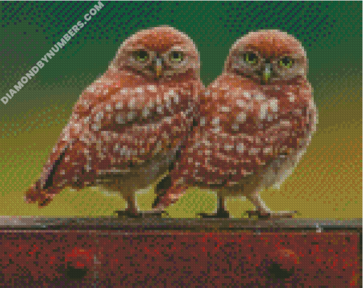 diamond paintings