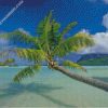 diamond paintings