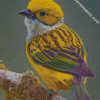 diamond painting