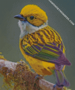 diamond painting