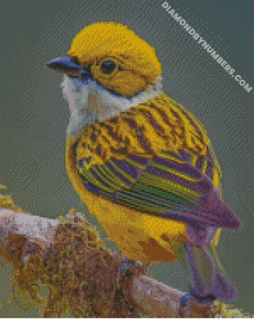 diamond painting