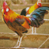 diamond painting
