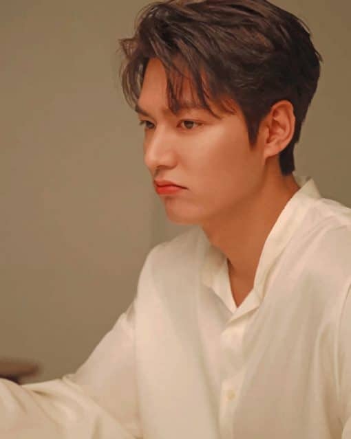 Actor Lee Min Ho paint by numbers