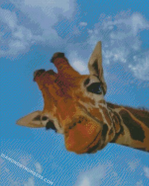 diamond painting