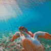 diamond painting