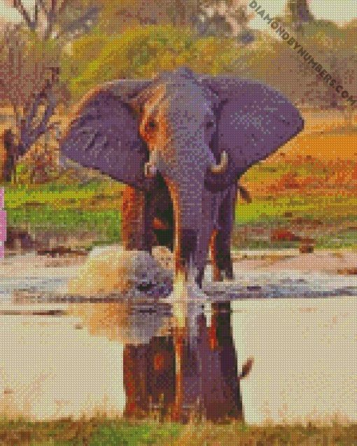african elephant in water diamond paintings