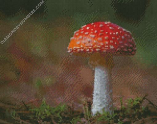 diamond painting