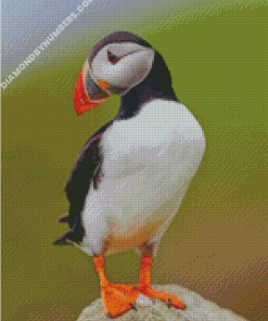 diamond painting