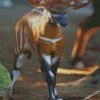diamond painting