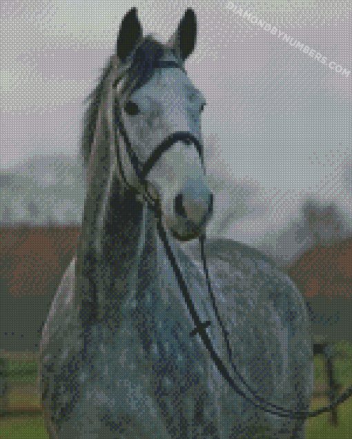 diamond painting