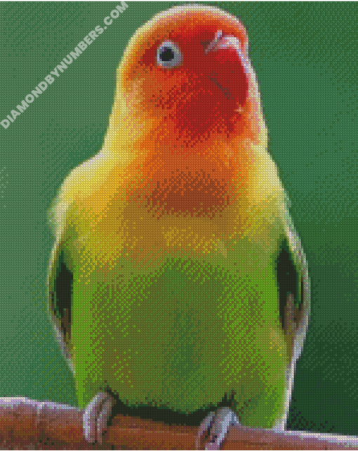 diamond paintings