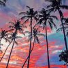 Big Palm Tree paint by numbers