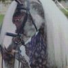 black and white horse diamond paintings