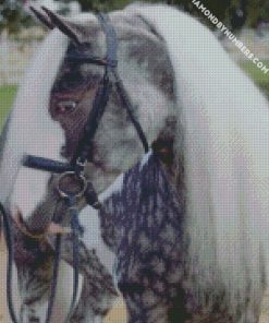 black and white horse diamond paintings
