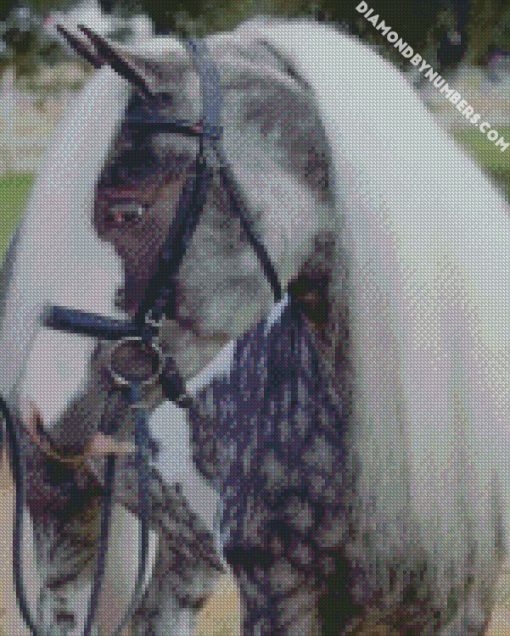 black and white horse diamond paintings