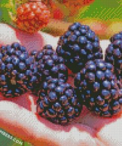 diamond painting