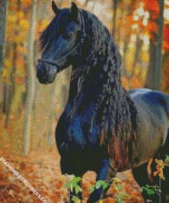 black horse diamond paintings
