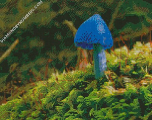 diamond painting