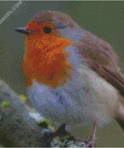 diamond painting
