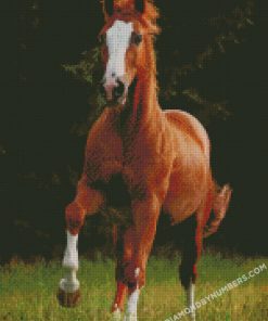 diamond painting
