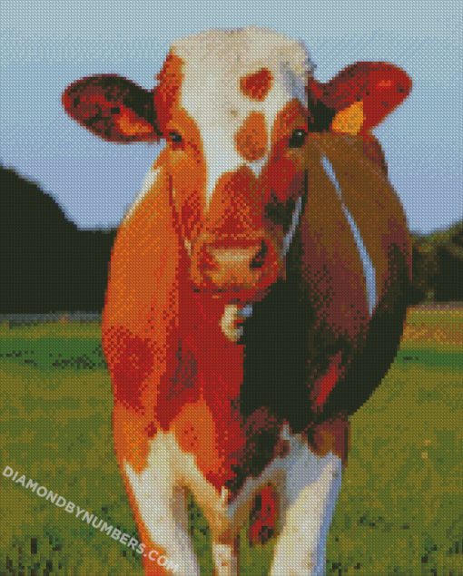 diamond painting