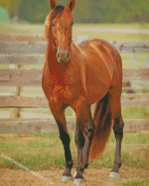 diamond painting