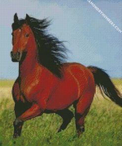 brown horse with black hair diamond paintings