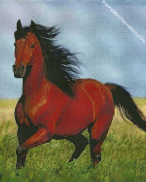 brown horse with black hair diamond paintings